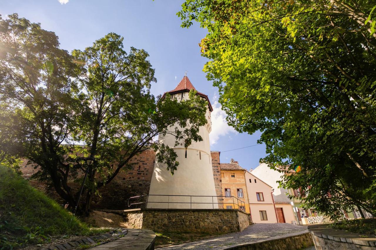 Studio Anisia Lejlighed Sibiu Eksteriør billede